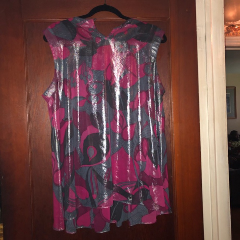 Sheer Blouse - Picture 2 of 2